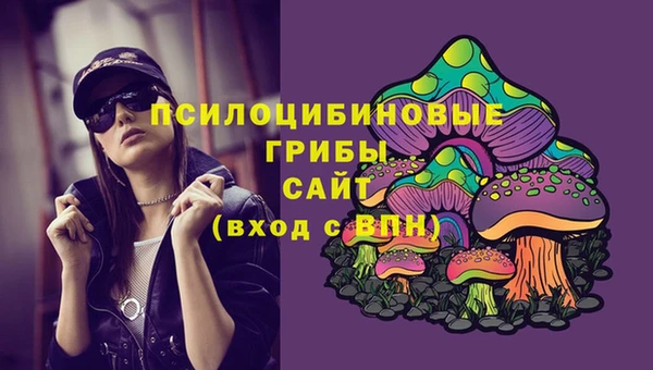 2c-b Володарск