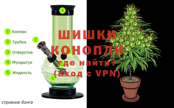 дурь Волосово